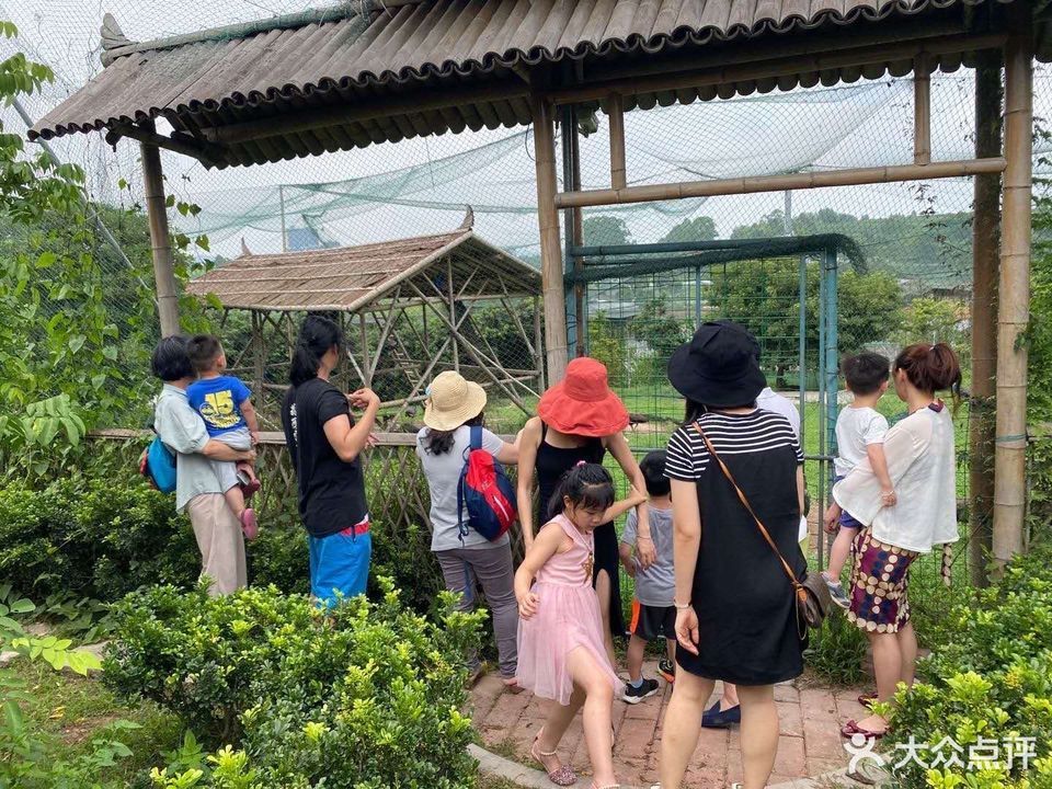 美林湖孔雀园