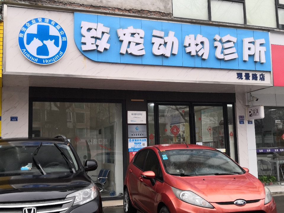 莱肯犬舍(建设路店)