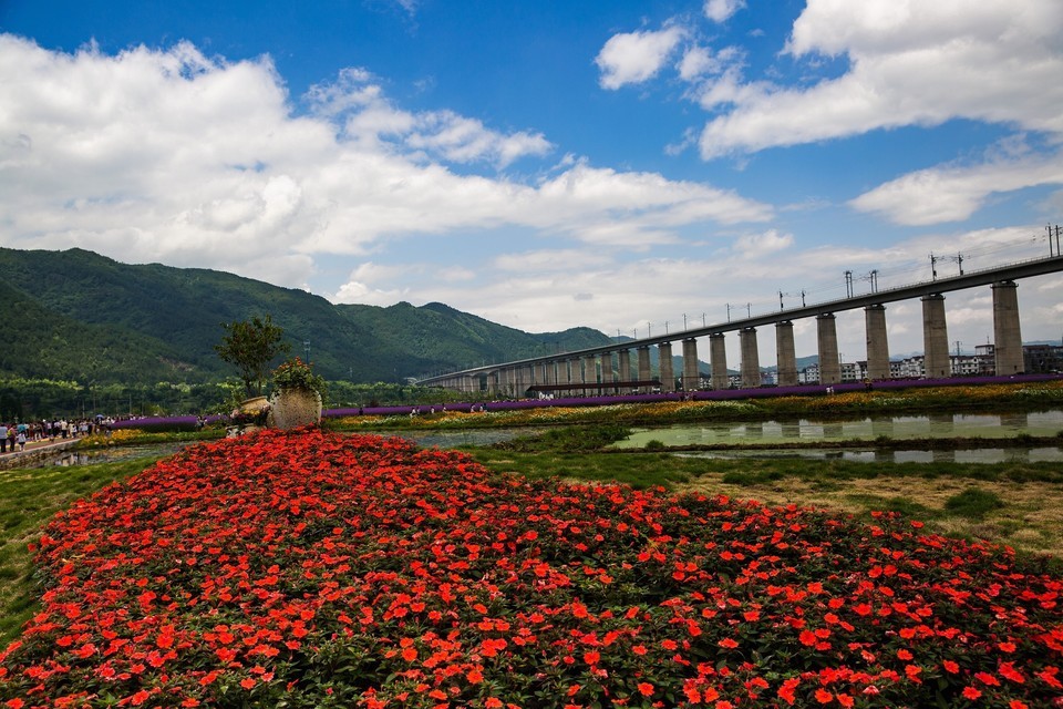 缙云县笕川花海