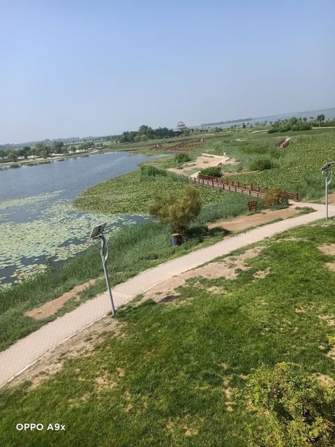 【河北衡水湖湿地公园】地址,电话,路线,周边设施_360地图