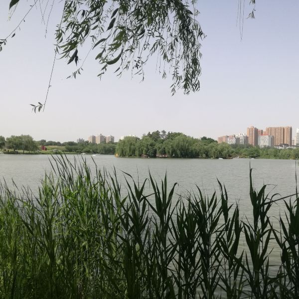 太液池蓬莱岛