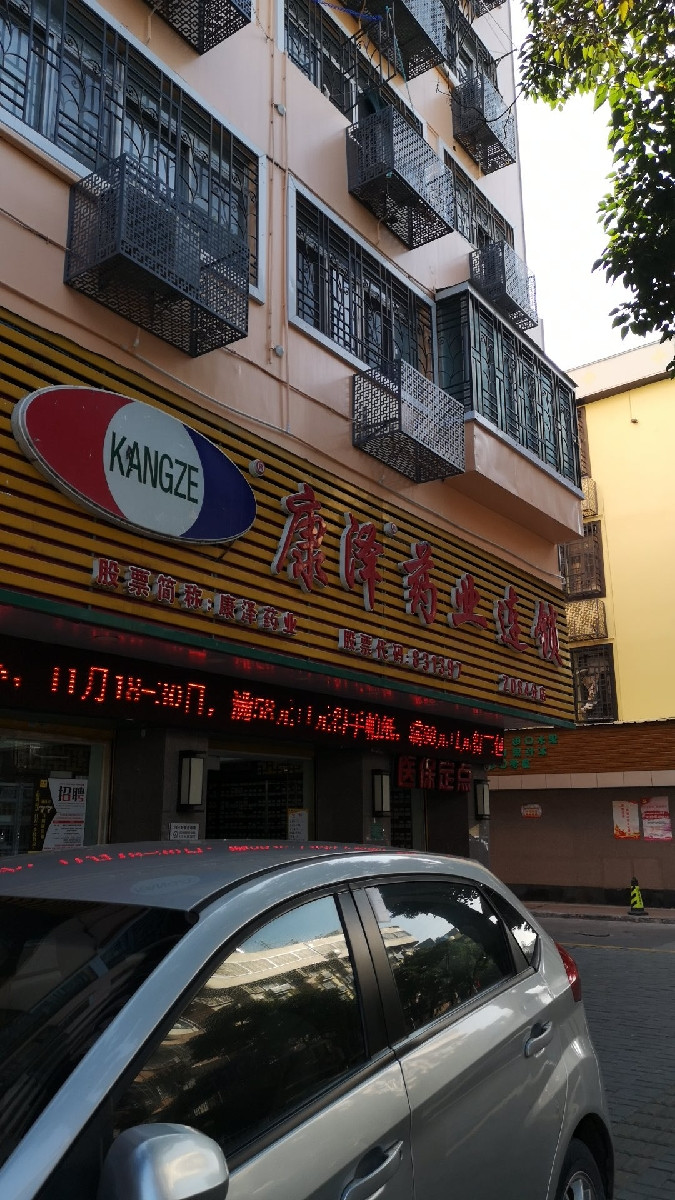> 康泽药业