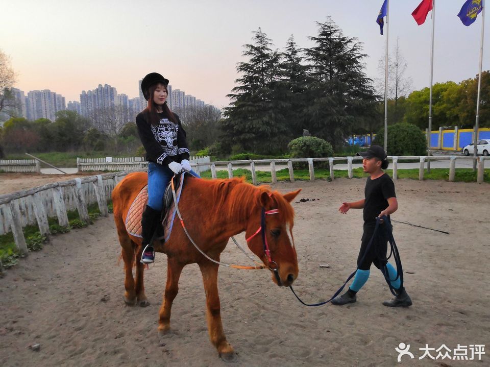 上海辉煌骑马场地址(位置,怎么去,怎么走,在哪,在哪里,在哪儿):上海市