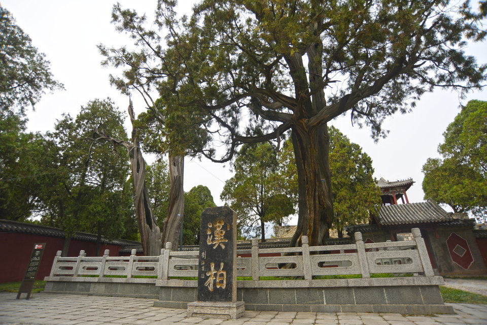 山東蟠龍山國家森林公園樂木園景點