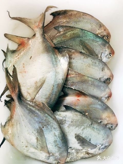 > 平潭海鲜
