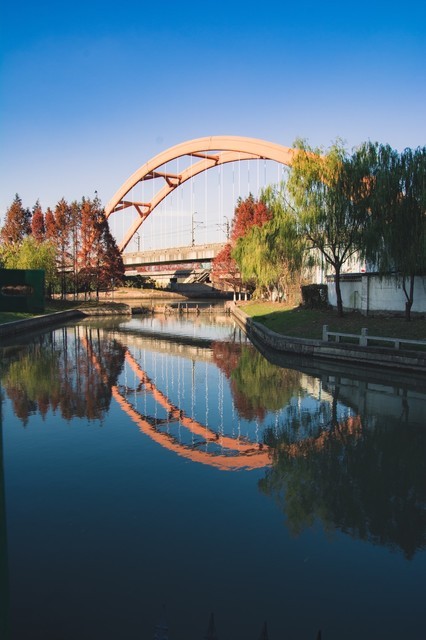 横沥河景观带图片