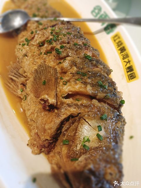 谷雨春红烧黄河大鲤鱼紫荆山店