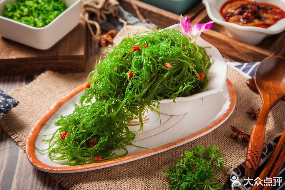 深海龙须菜图片