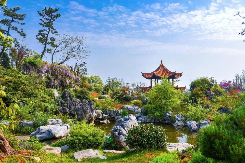 宝庆森林公园