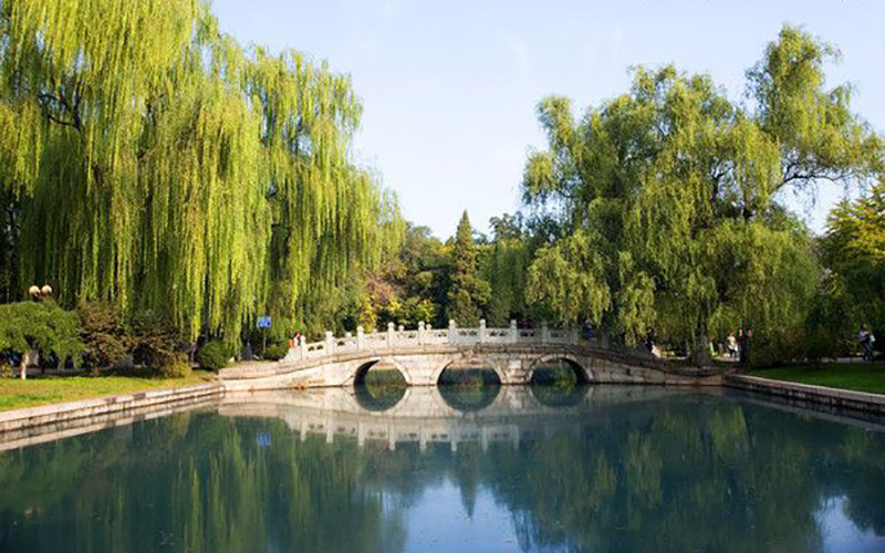 【北京大学(大兴校区)】北京大学(大兴校区)电话,北京大学(大兴校区)