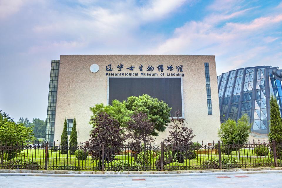 辽宁古生物博物馆图片