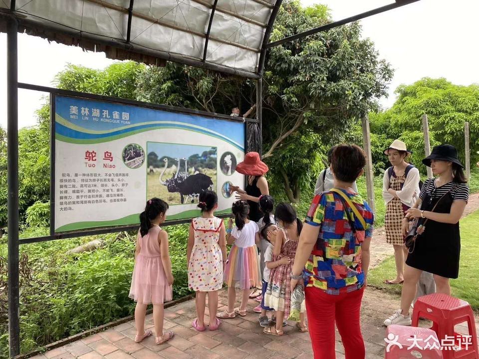 美林湖孔雀园