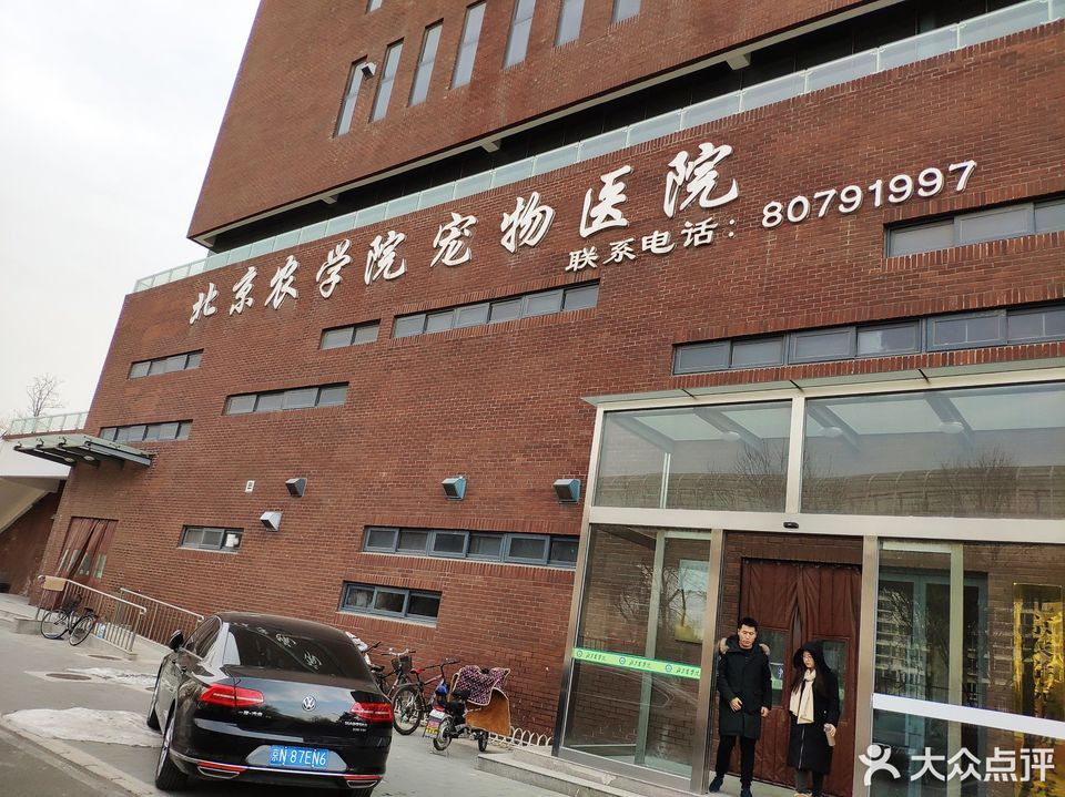 關于北京大學第三醫院號販子電話，去北京看病指南必知的信息