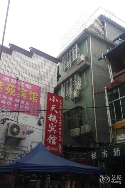 宁化天鹅大酒店4楼图片