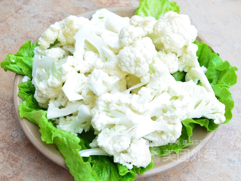 白花菜图片