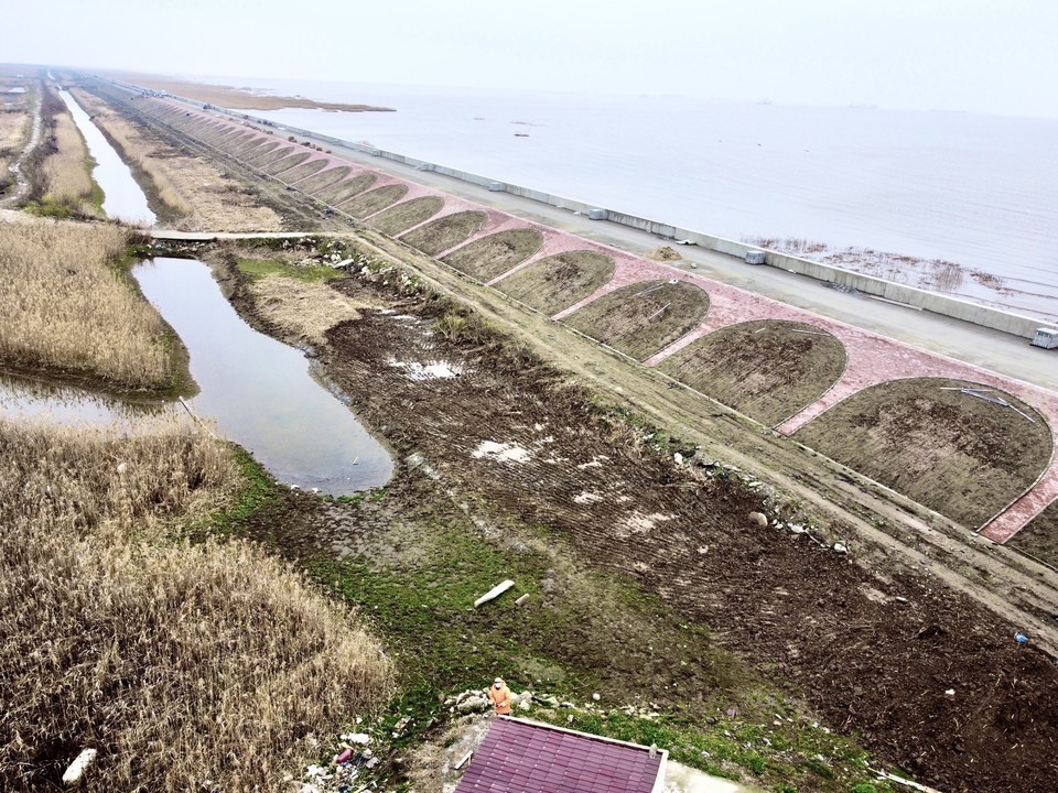 东海岛堵海大堤图片