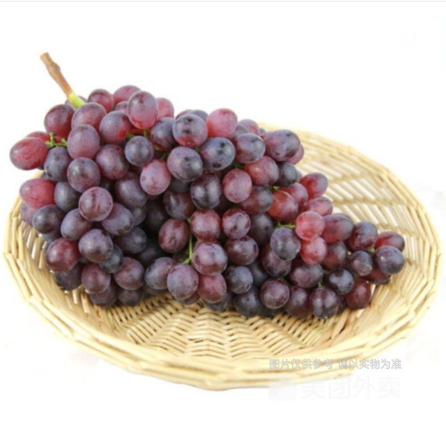 吉娃娃珍珠葡萄图片