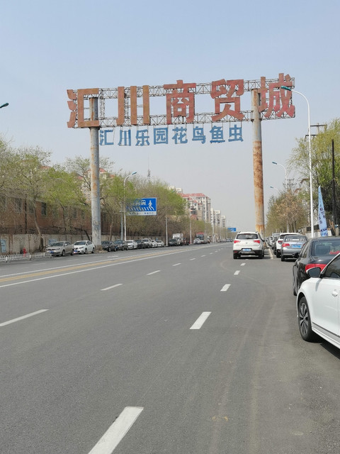 汇川商贸城汇川乐园花鸟虫鱼图片