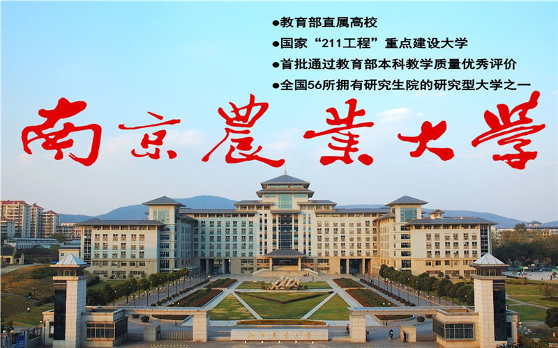 南京农业大学卫岗图片