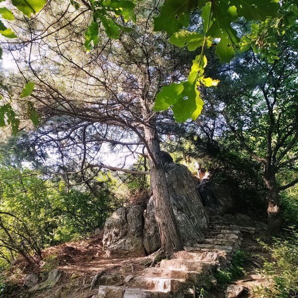 【馬耳山生態旅遊區】馬耳山生態旅遊區門票,馬耳山生態旅遊區遊玩