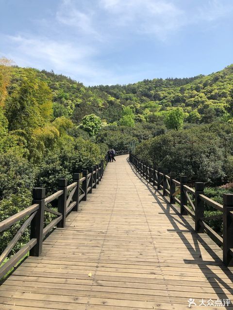 树山生态村木栈道