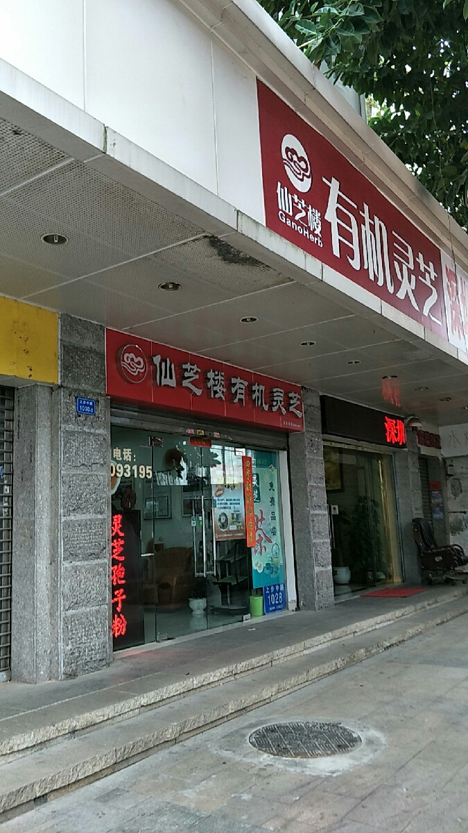 仙芝楼有机灵芝(no.062店)