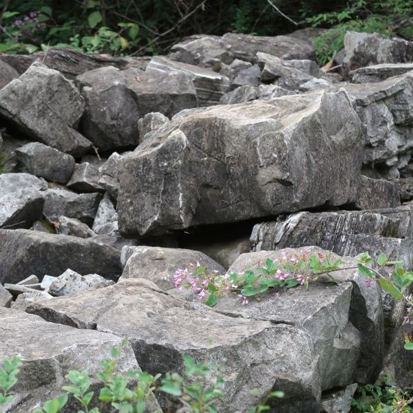 毛家峪元古奇石林风景区