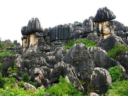 桂子山石柱林景区