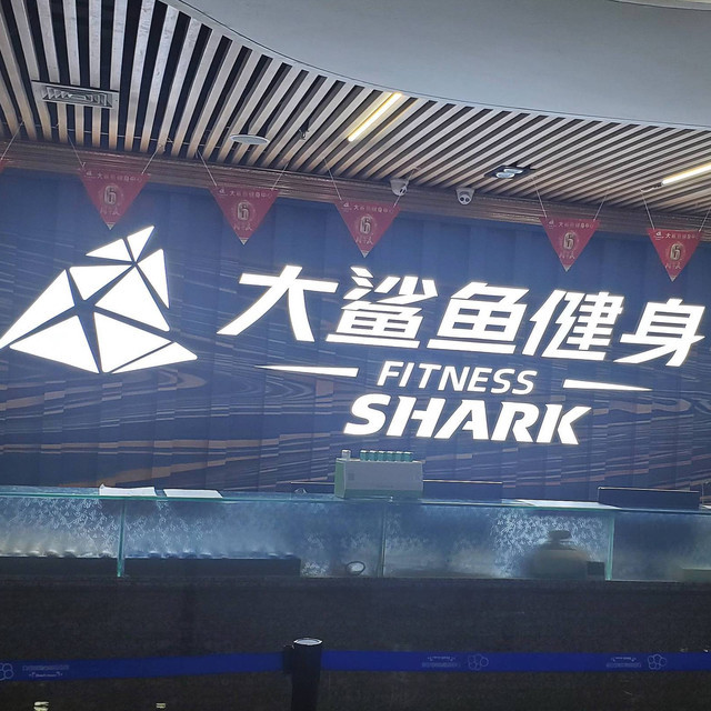                大鲨鱼健身俱乐部