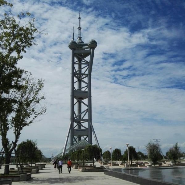 龙凤湿地检测塔