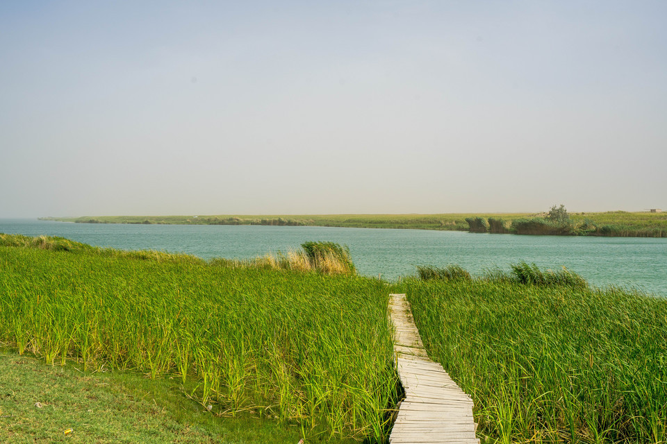 和田地区 休闲娱乐 景点公园 > 鱼湖