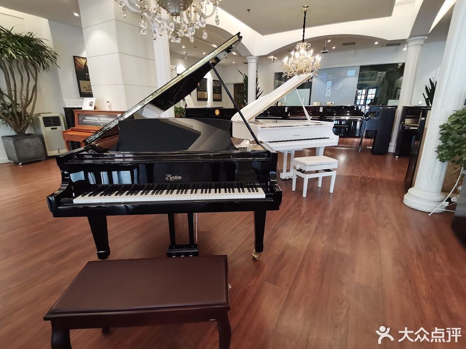              星艺琴行(金水路店)