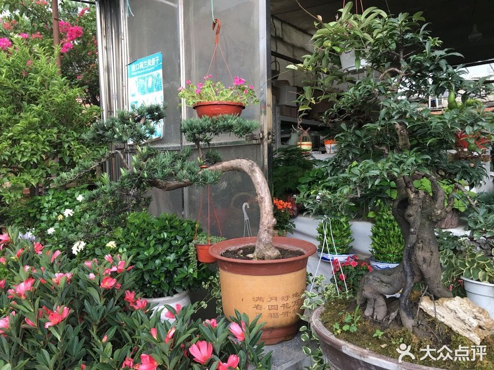              邛崃市花木盆景市场