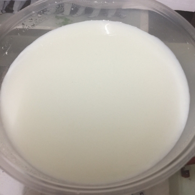 原味双皮奶图片