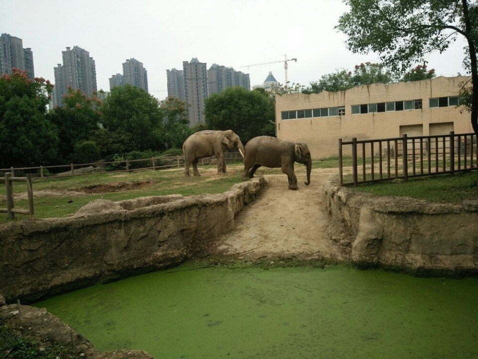 【南昌動物園】南昌動物園門票,南昌動物園遊玩攻略_360地圖