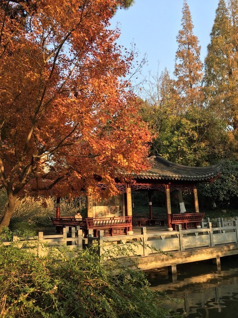 查看花卉旅遊景點_360地圖搜索結果列表