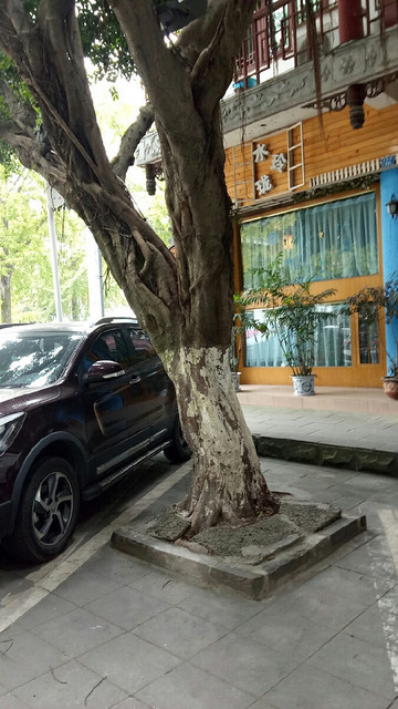 蔚蓝卡夫卡咖啡餐厅崇州双桥店