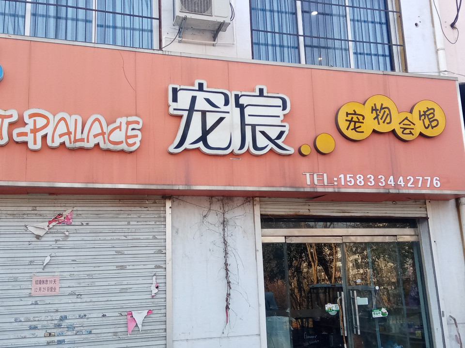 宠宸宠物会馆图片