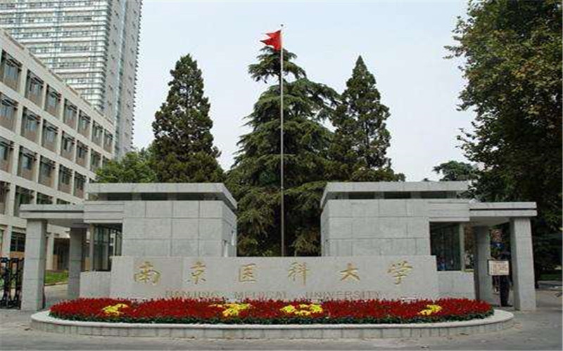 南京江宁区有哪些大学图片