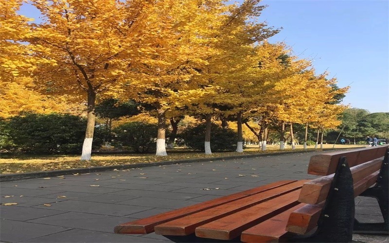 宜賓職業技術學院地圖宜賓職業技術學院科苑賓館宜賓職業技術學院-b區