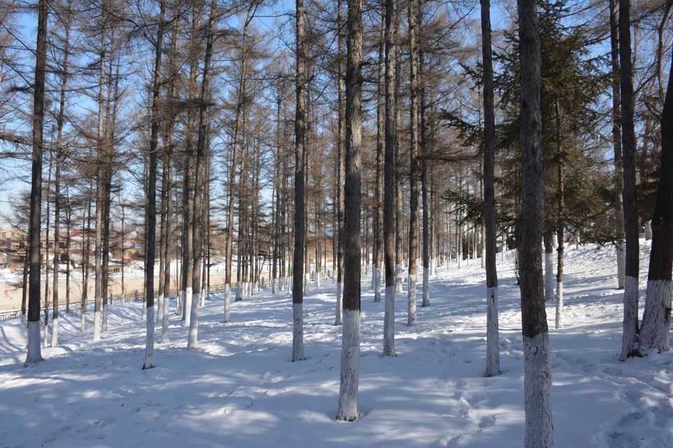 藍box蹦床運動公園