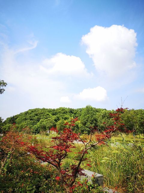 蜀冈生态公园图片
