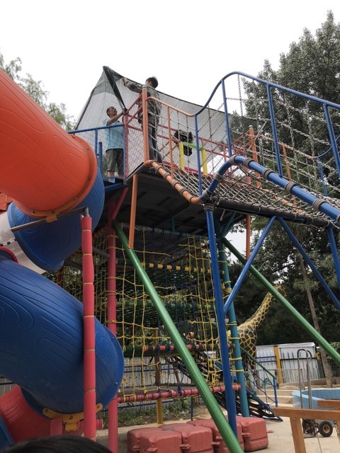 沈阳市 休闲娱乐 景点公园 > 中山公园自然王国(中山公园儿童游乐园)