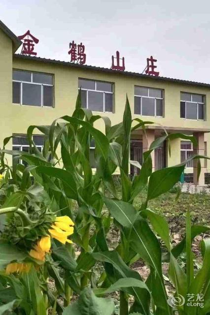 克什克腾旗枫林苑山庄