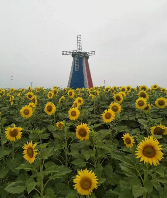 怀化山下花海快乐谷