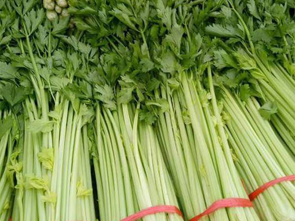 【欢乐番茄菜市场(定林苑店)】欢乐番茄菜市场(定林苑店)电话,欢乐番