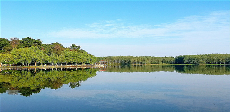 香河白鹭岛图片