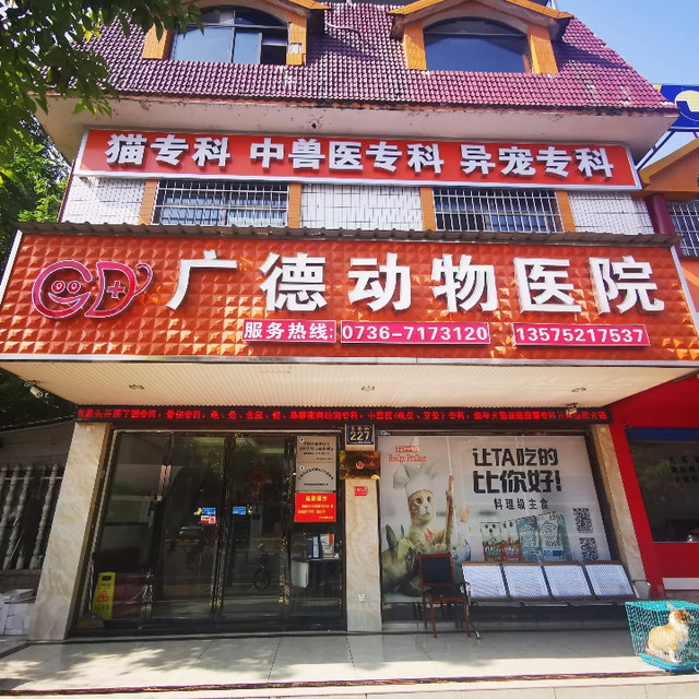 > 唯宠动物医院