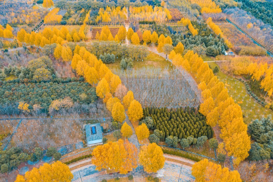 荥阳京襄城遗址生态园
