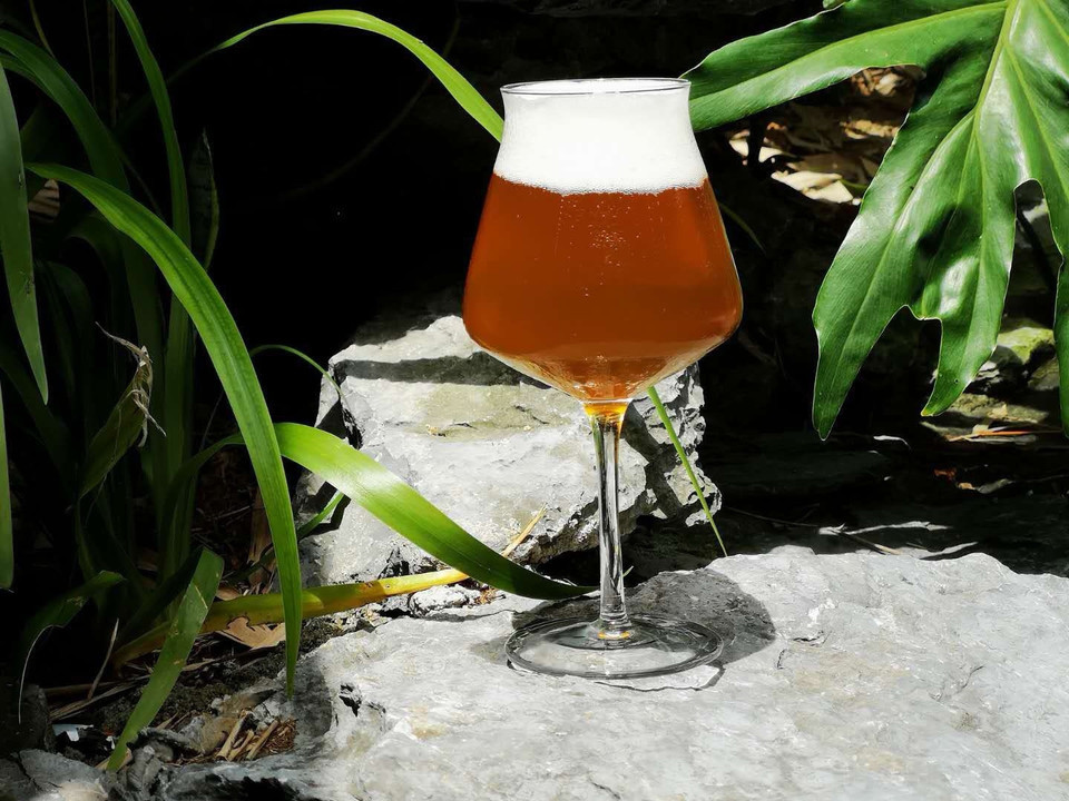                 汉诺威自酿啤酒